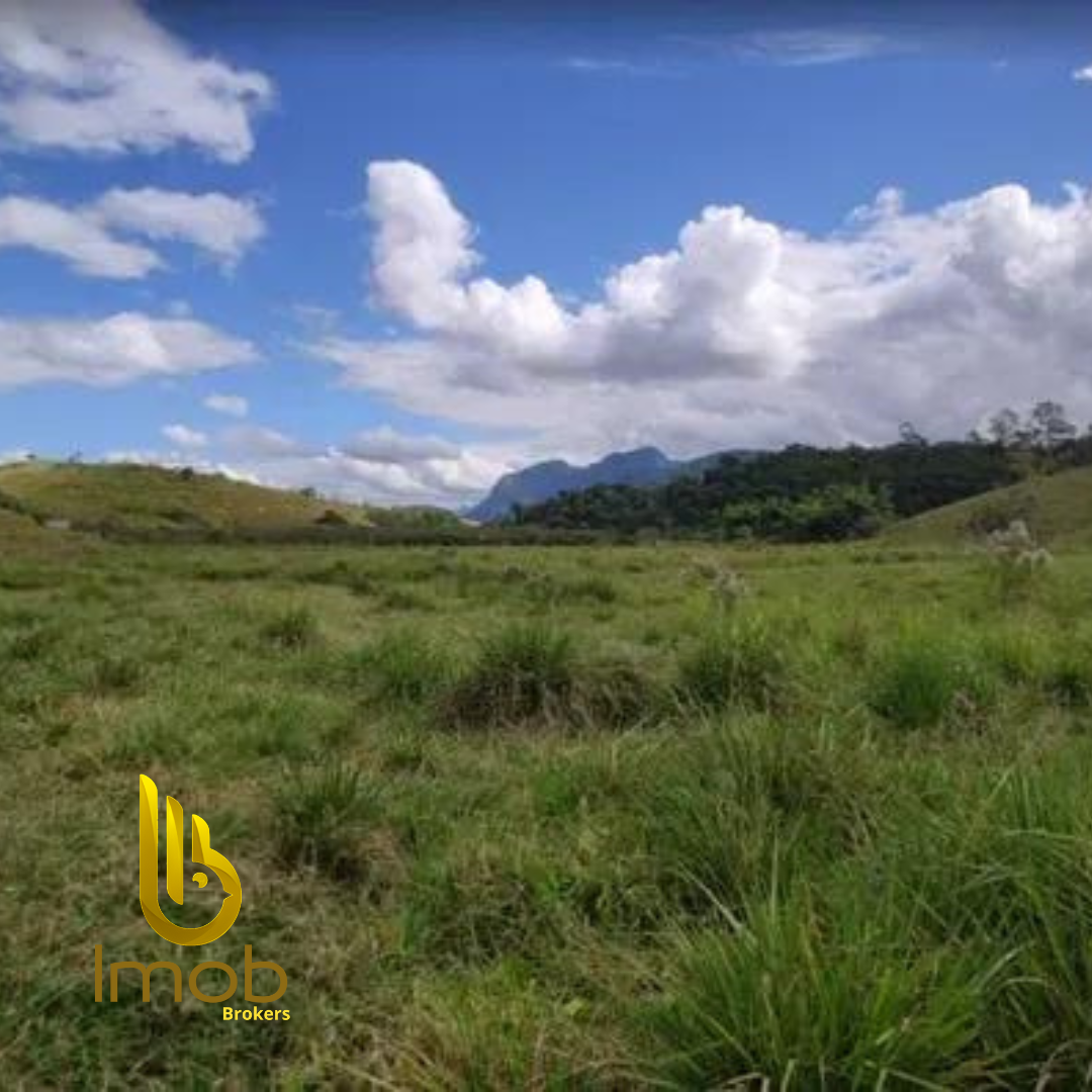 Post-instagram-site-novo-minimalista-preto-e-amarelo-36