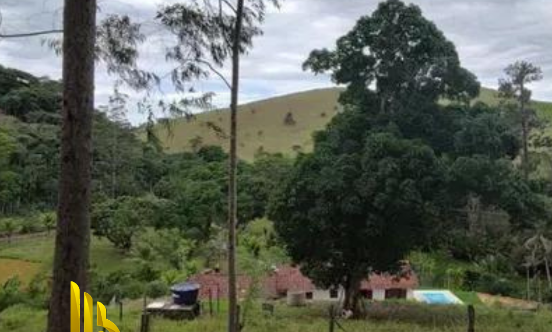 Post-instagram-site-novo-minimalista-preto-e-amarelo-40