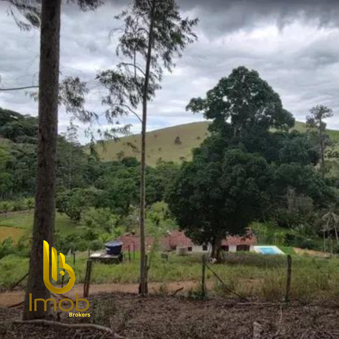 Post-instagram-site-novo-minimalista-preto-e-amarelo-40