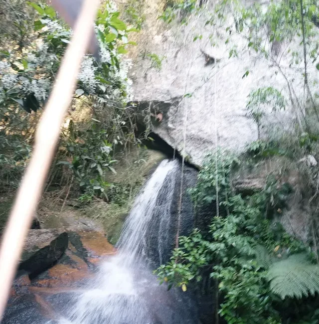 814483490929456