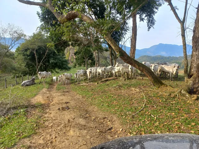 944368099142206